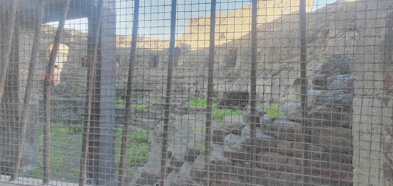 Domus Odeon La Casa Nel Parco Archeologico Di *